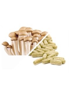 Microdosing Sample Pack: Neuro Blend (15 caps) + 3.5 Grams