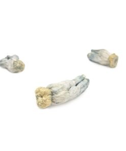 Buy Yeti Mushroom Canada