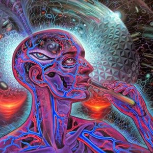 What Happens During a DMT Trip